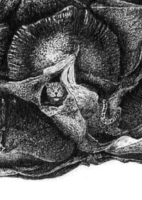 Image 3 of Rainforest Rewild Super Size Prints!