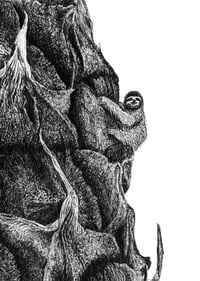 Image 4 of Rainforest Rewild Super Size Prints!