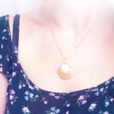 Ariel Shell Necklace - 2 lengths available