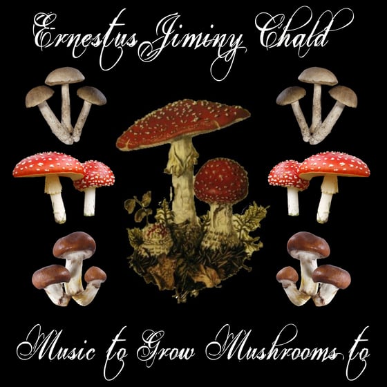 Image of Music to Grow Mushrooms to (CD)