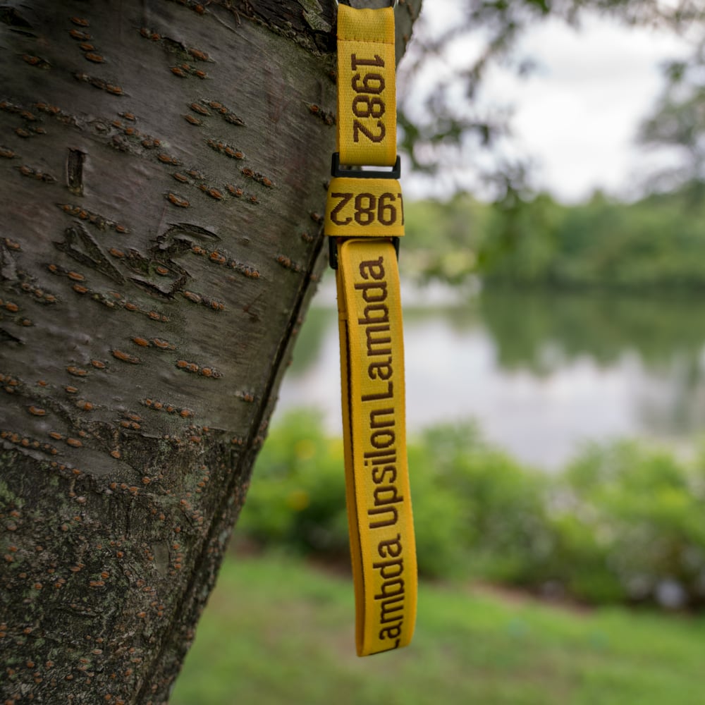 Image of Lambda Upsilon Lambda