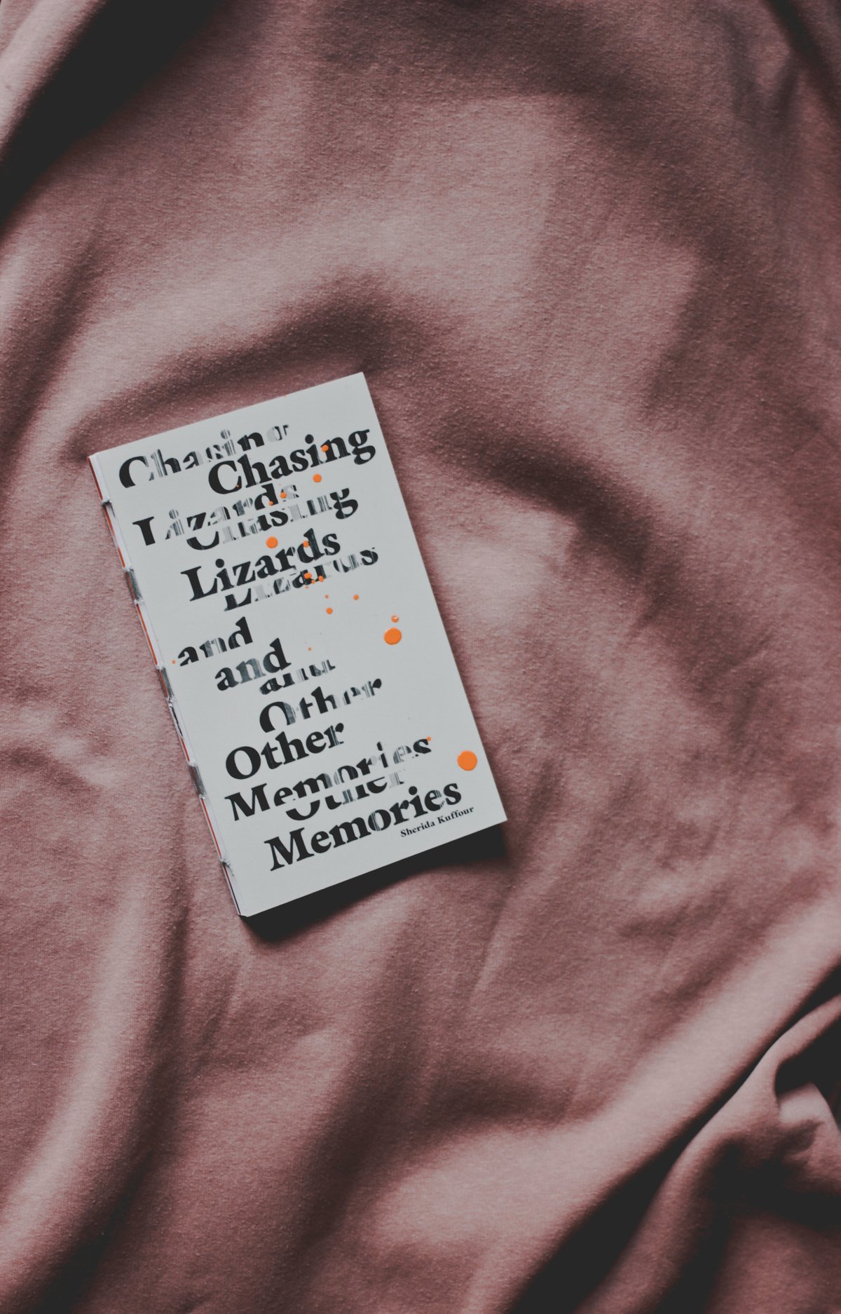 Image of Chasing Lizards and Other Memories