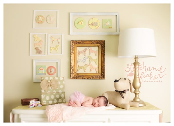Image of The Tadpole Collection