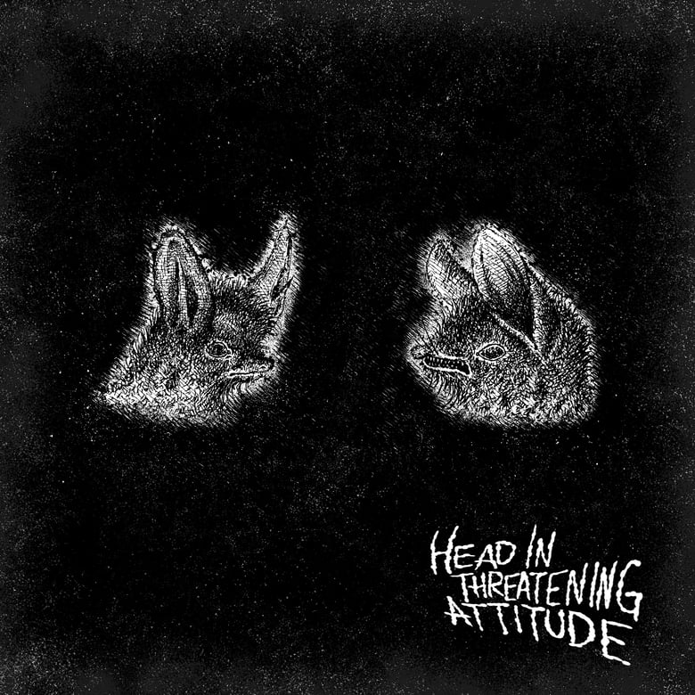 Image of NATTERERS - HEAD IN THREATENING ATTITUDE LP
