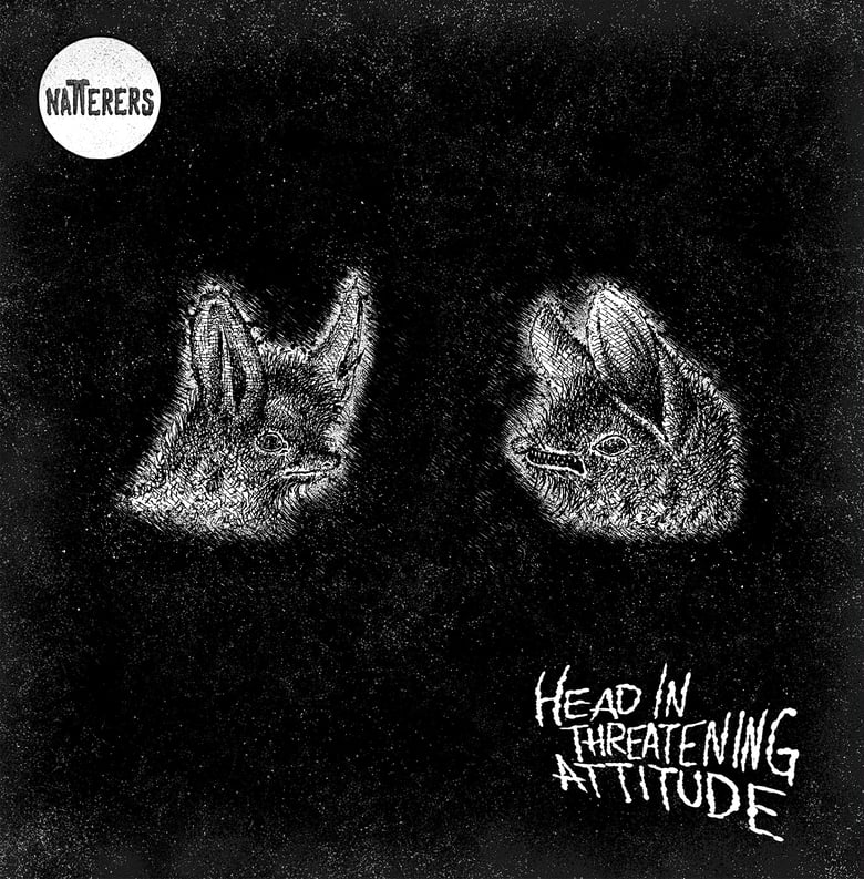 Image of NATTERERS - HEAD IN THREATENING ATTITUDE CD