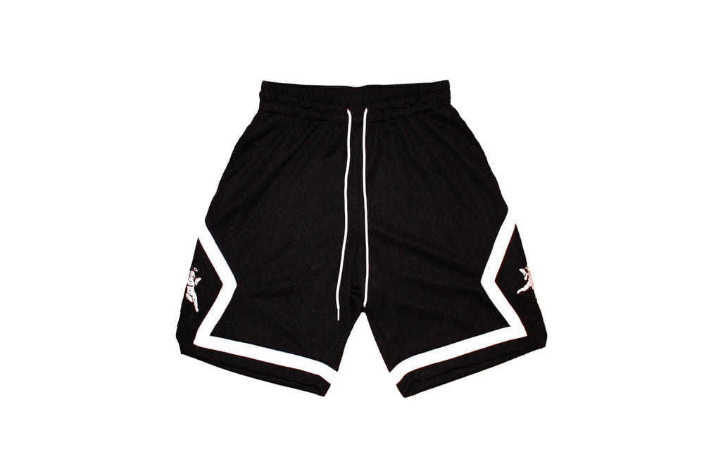 Image of AA Ball Shorts (BLK)