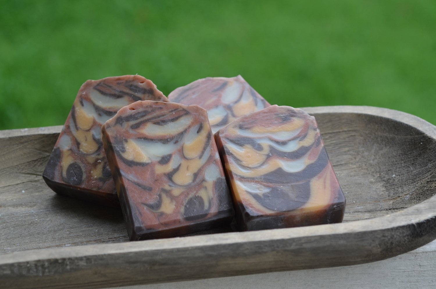 Image of Indian Sandalwood