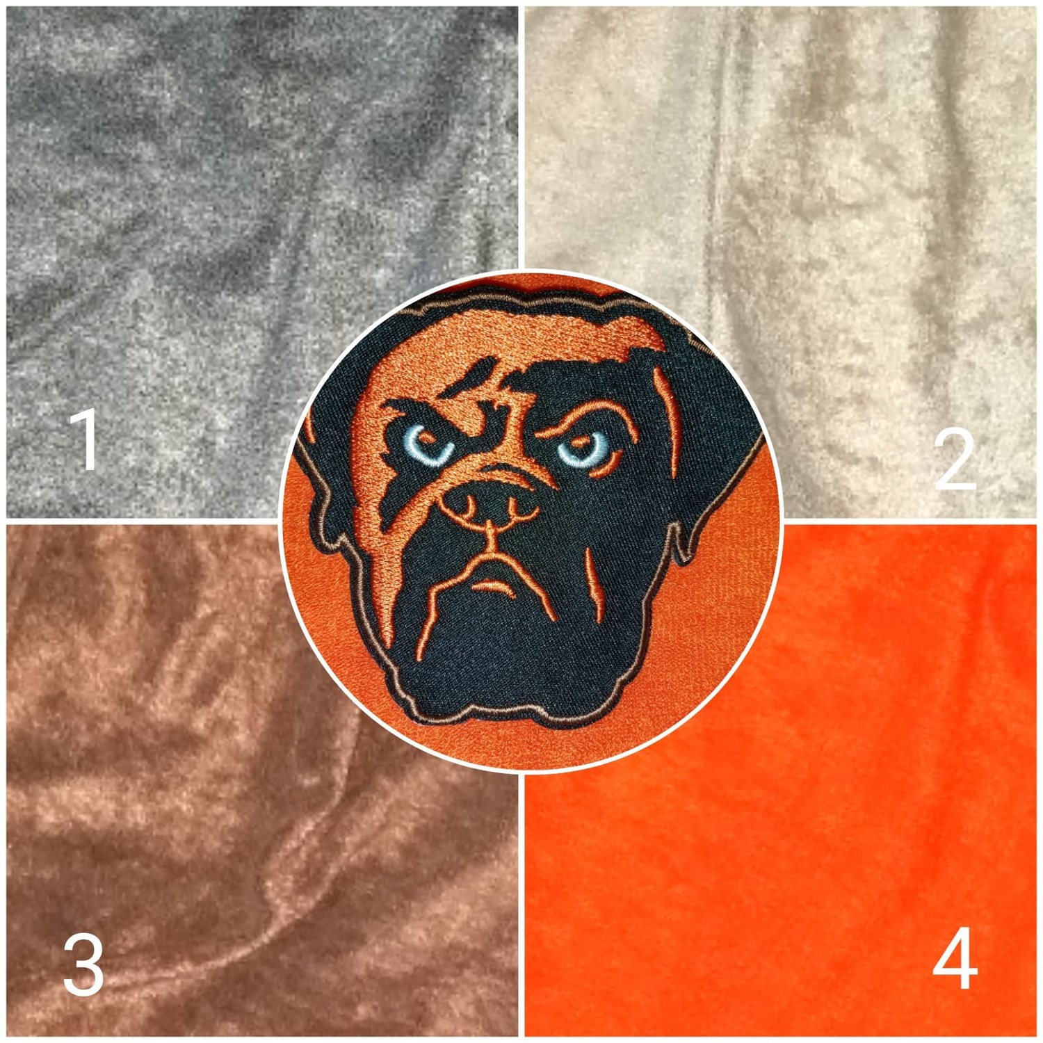Image of Cleveland Browns Themed Shorts