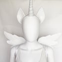 Custom Winged Unicorn Set (20 colors)