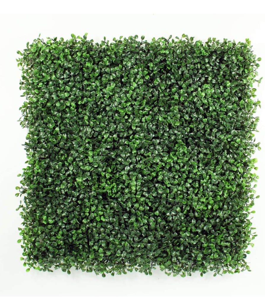 Image of 8X8 GREENERY BACKDROP (RENTAL)