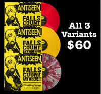 Image 5 of FALLS COUNT ANYWHERE LP