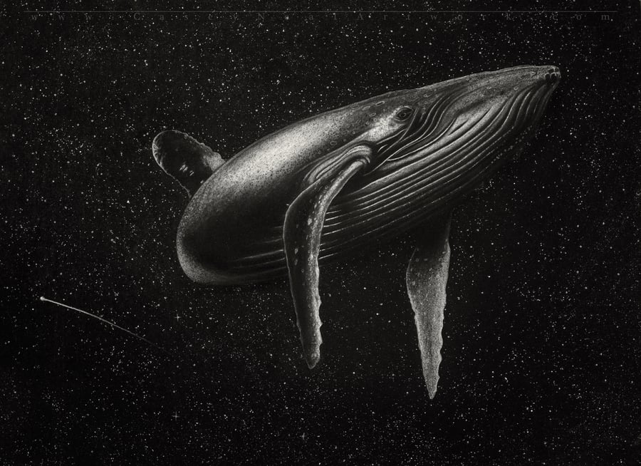 Image of Whale In Space