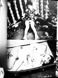 Image 14 of Nobuyoshi Araki “Hokeitei Nichijo"