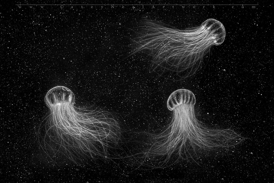 Image of Jellyfish In Space