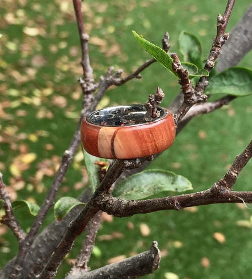 Image of Manzanita / Auburn resin ring
