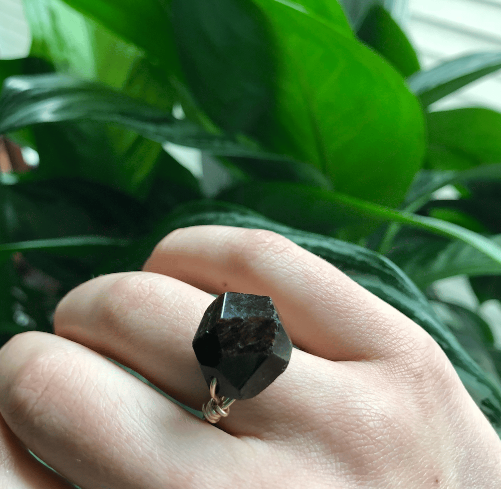 Image of Juicy Garnet Gold Wire-Wrapped Ring (6-6.5)