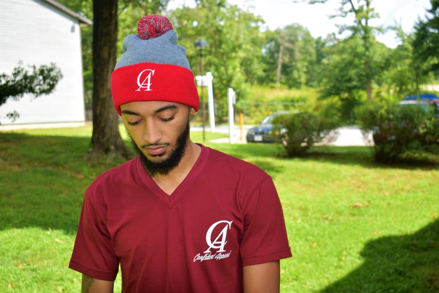 Image of Pom Pom Knit Cap