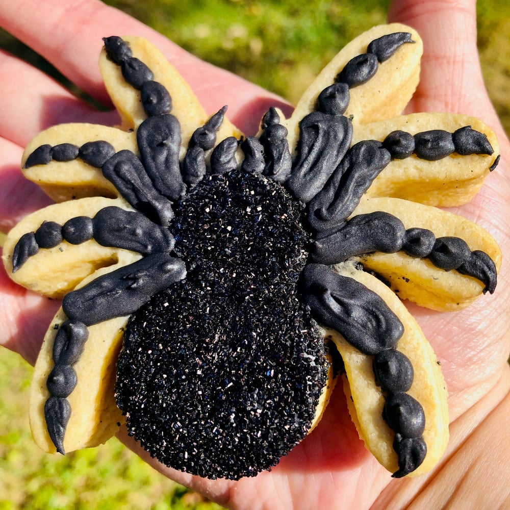 Image of Vanilla Bean OR Chocolate Spider Cookie