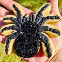 Vanilla Bean OR Chocolate Spider Cookie