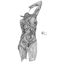 "Curves I"