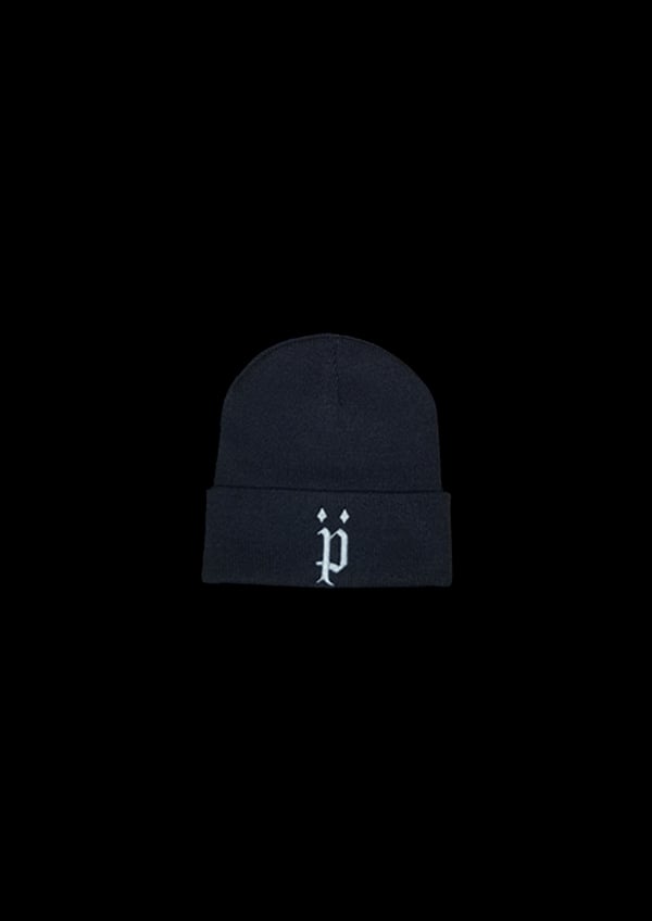 Image of Patron Beanie (Grey)
