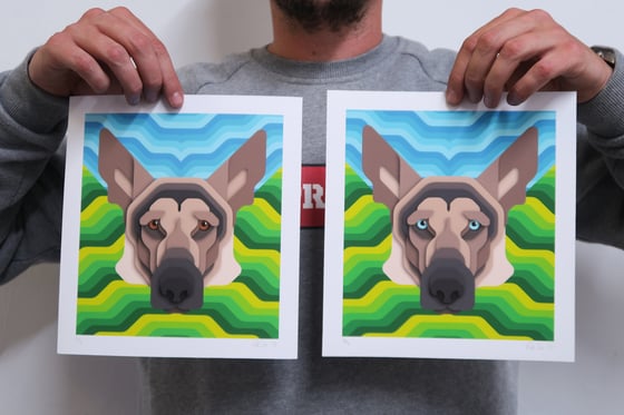 Image of K9 Portrait