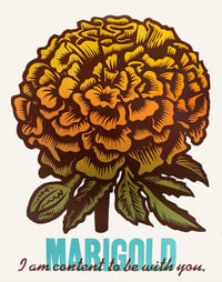 "Marigold"