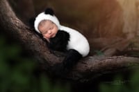 Image 2 of Furriest Little Panda Set 