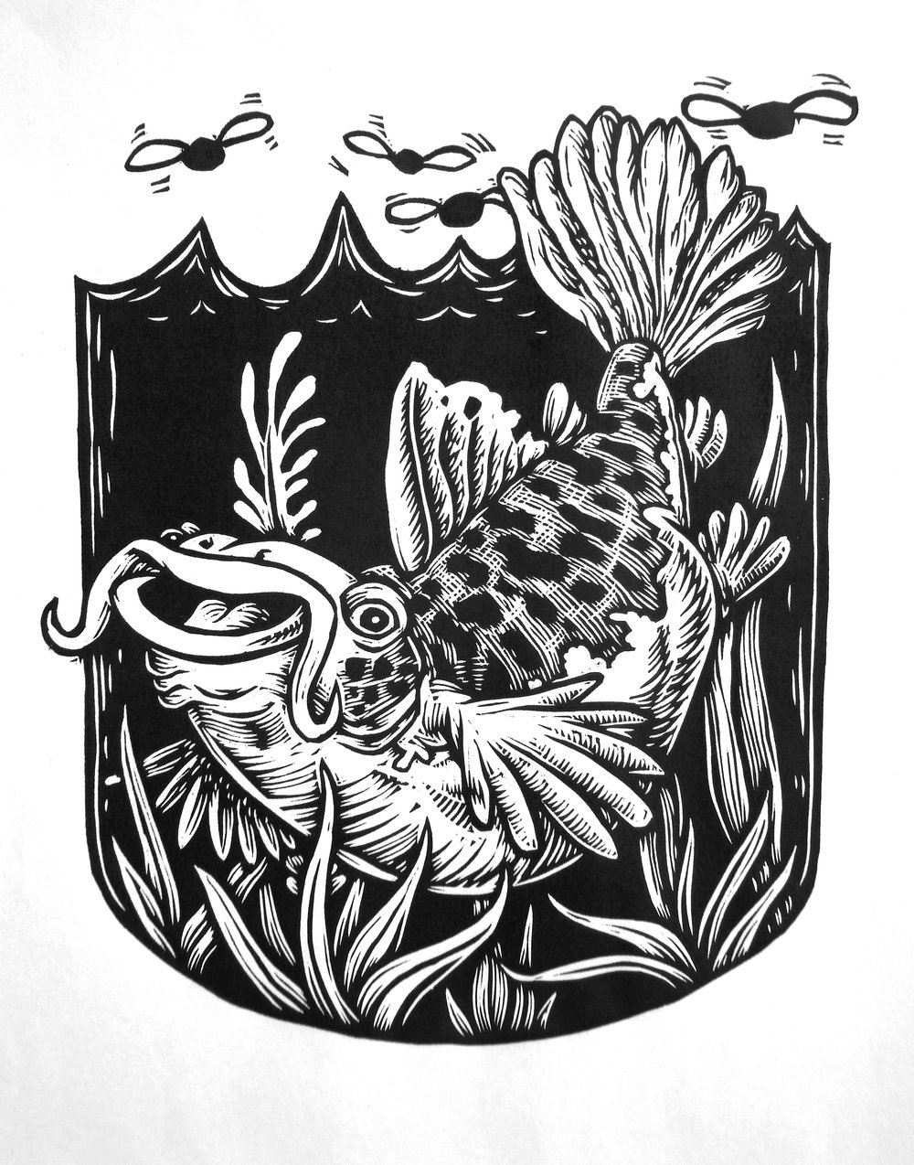 Catfish T-shirt (B3) **FREE SHIPPING**