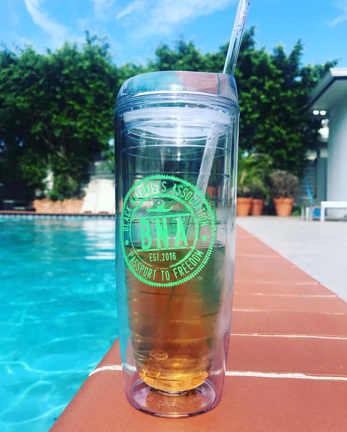 Image of Official BNA Branded Adult Sippy Cup