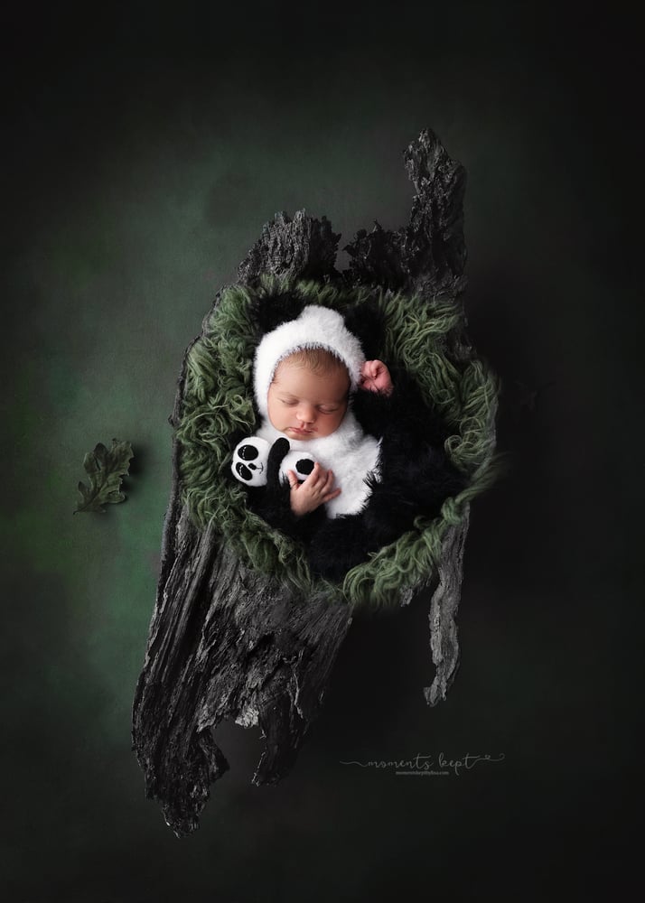 Image of Furriest Little Panda Set 
