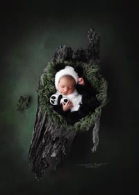 Image 1 of Furriest Little Panda Set 