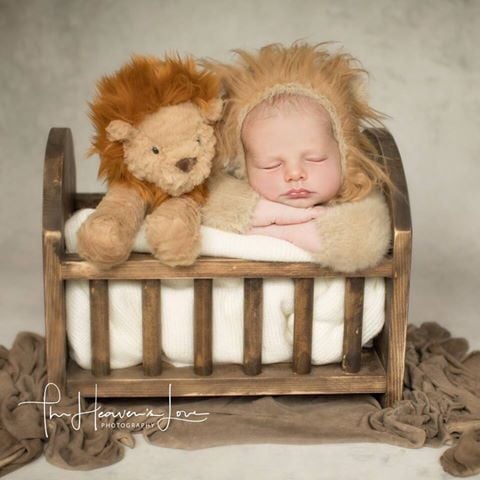 Image of Furry Little Lion Cub
