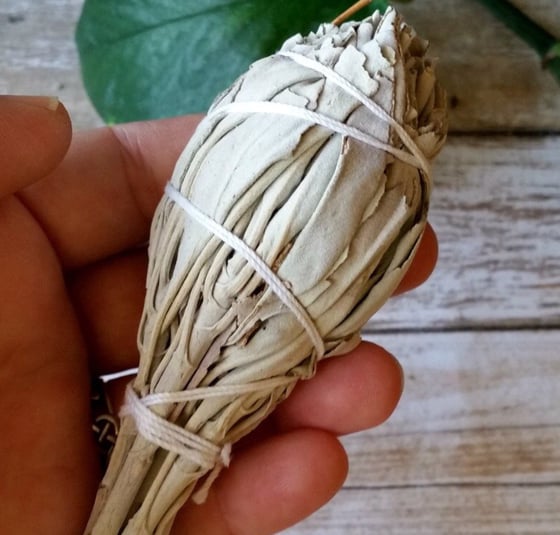 Image of Californian White Sage Smudge Wand 3-4"