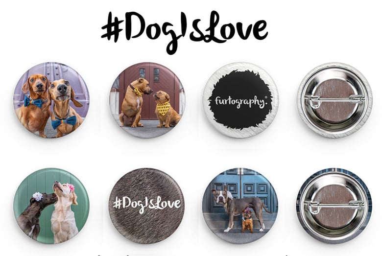 Image of #DogIsLove - 6 pack Buttons/badges