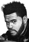 The Weeknd (Print)
