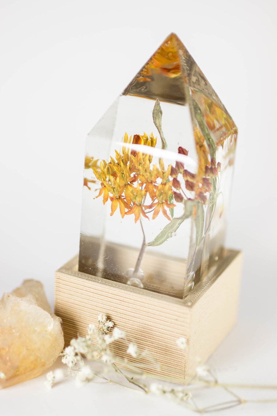 Image of Butterfly Weed (Asclepias tuberosa) - Floral Prism Desk Lamp