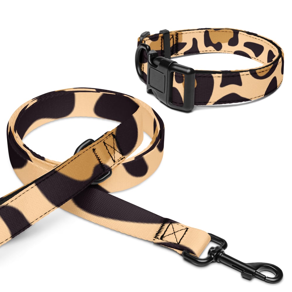 Image of Pet collar & leash Leopard