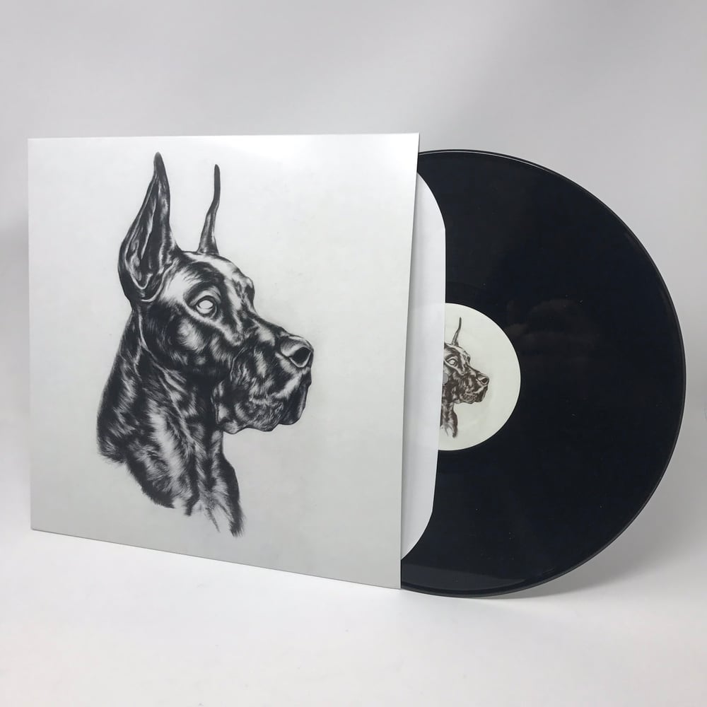Image of Great Dane - Alpha Dog