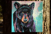 Image 1 of Baby Bear