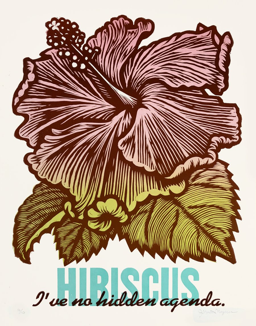 Image of "Hibiscus"