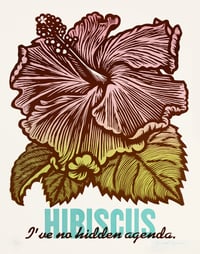 "Hibiscus"