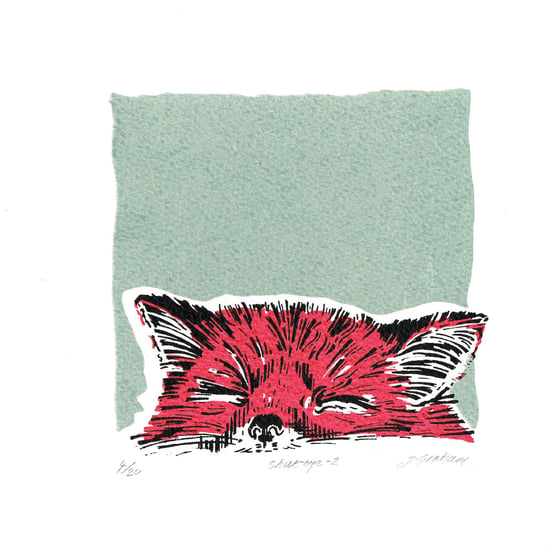 Image of Fox, Shut Eye-2