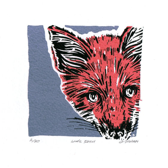 Image of Mini fox, Wide eyed