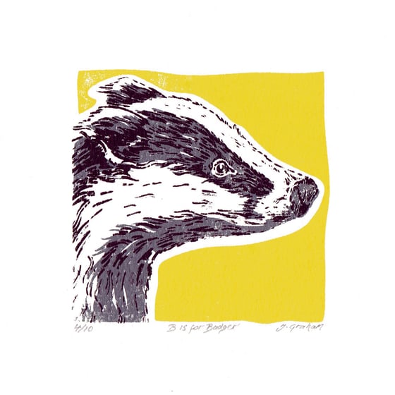 Image of B is for Badger