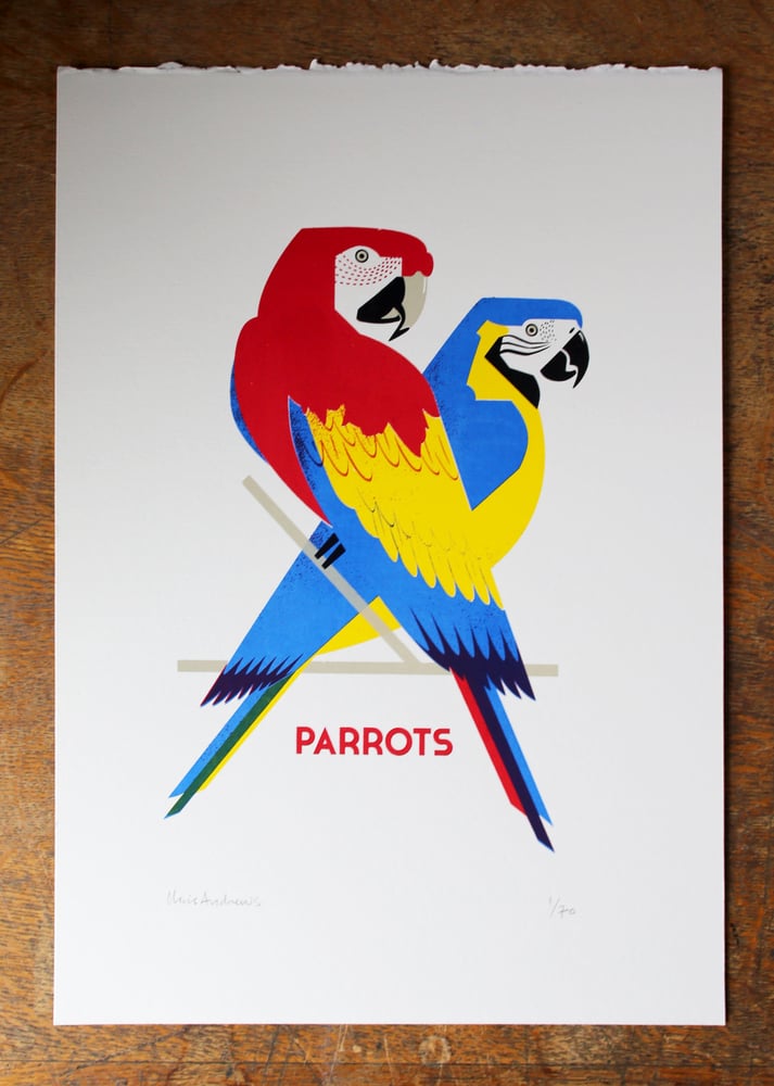 Image of Parrots screen print