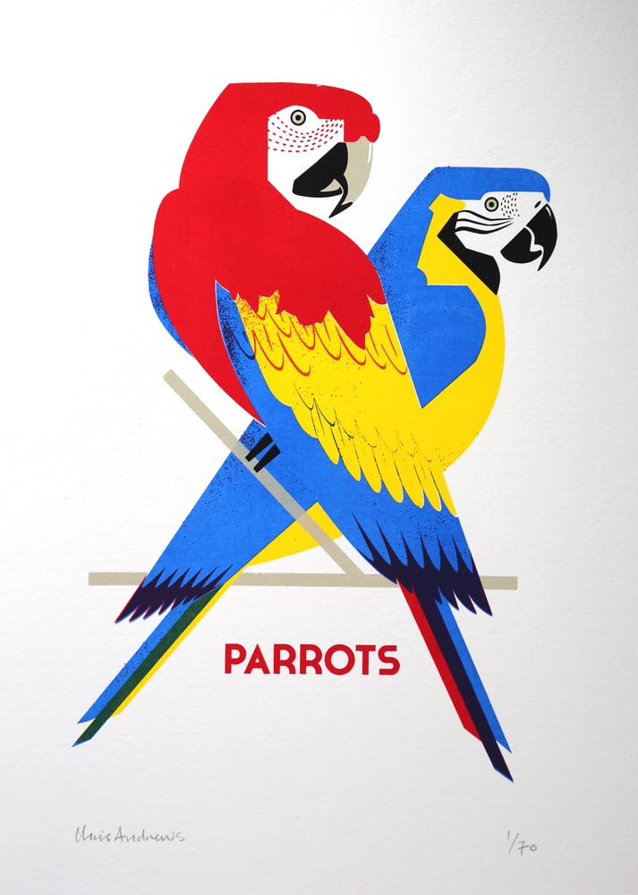 Image of Parrots screen print