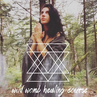 Image of WILD WOMB HEALING COURSE