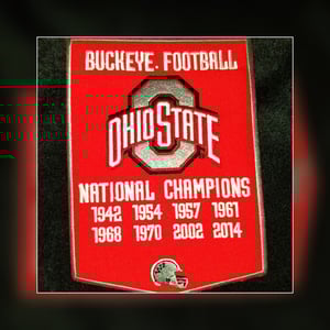 Image of Ohio State Buckeyes Themed Shorts