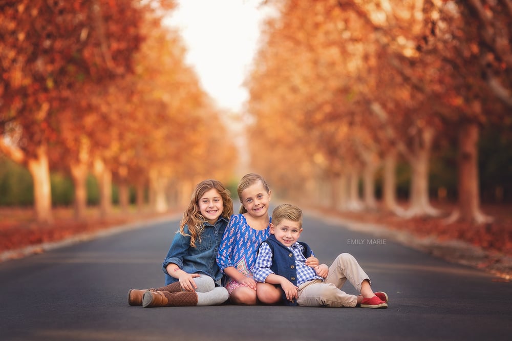 Image of Fall Portrait Sessions (deposit only)